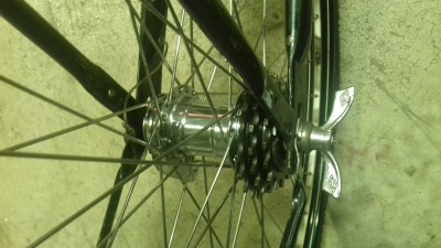 20201218_201604.jpg