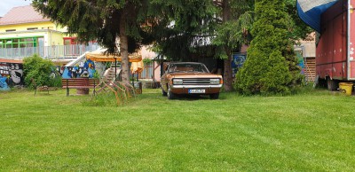 20210527_122828.jpg