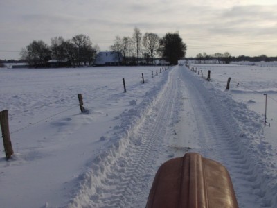 Winter 2010 006.jpg