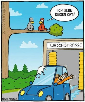 Nico Fauser.jpg