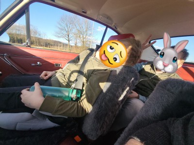 12.jpeg