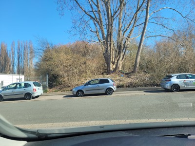 SO PARKEN SIE DIE GANZE STRASSE RUNTER