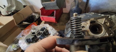 IMG_20250406_152528.jpg