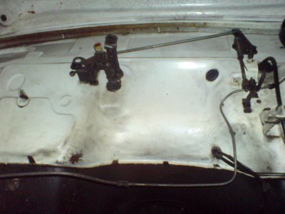 wDSC00017.JPG